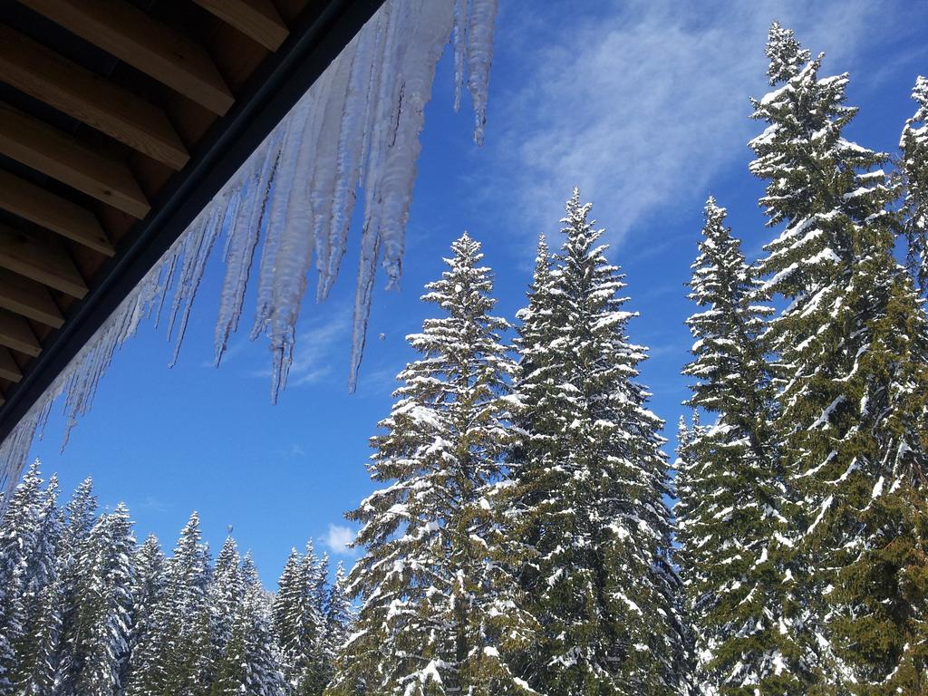 Hotel Jelka Pokljuka Goreljek ภายนอก รูปภาพ