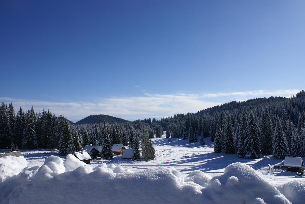 Hotel Jelka Pokljuka Goreljek ภายนอก รูปภาพ